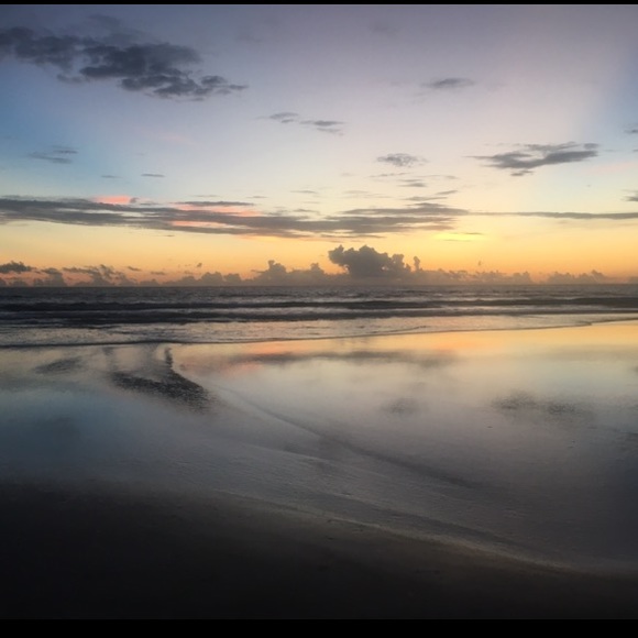 Meet your Posher, Bree - Picture 1 of 1